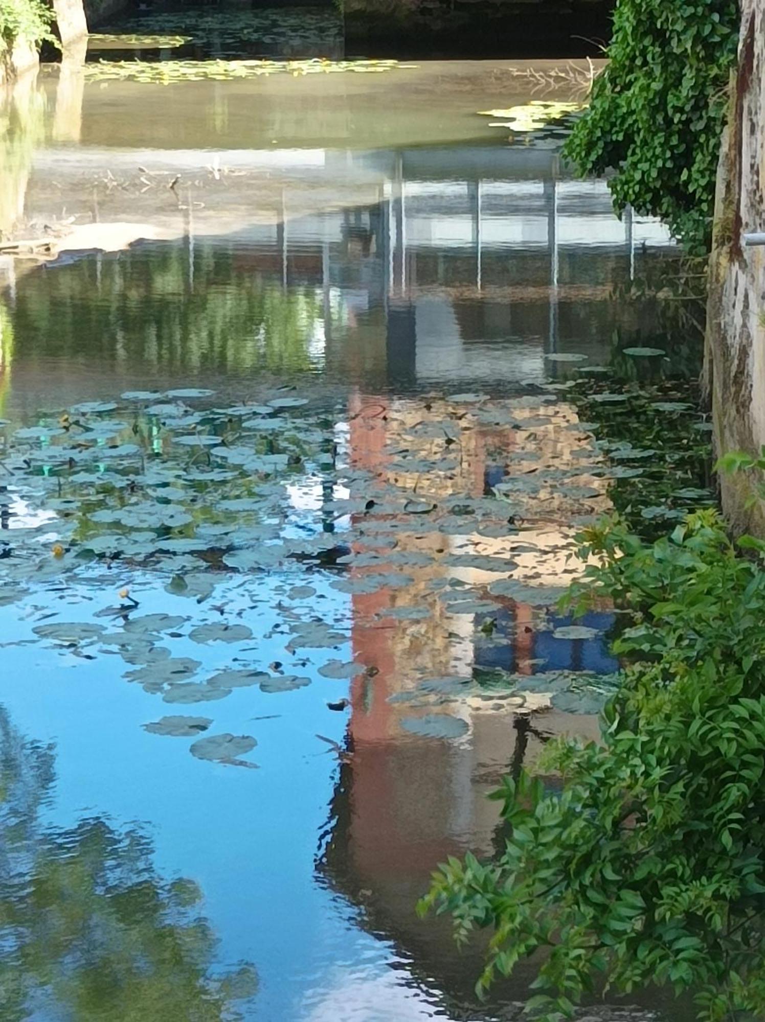 La Maison Au Bord De L'Eau Gracay Ngoại thất bức ảnh